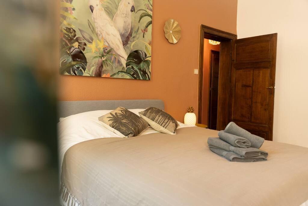 Camelia, Un Charme Montois Villa มงส์ ภายนอก รูปภาพ