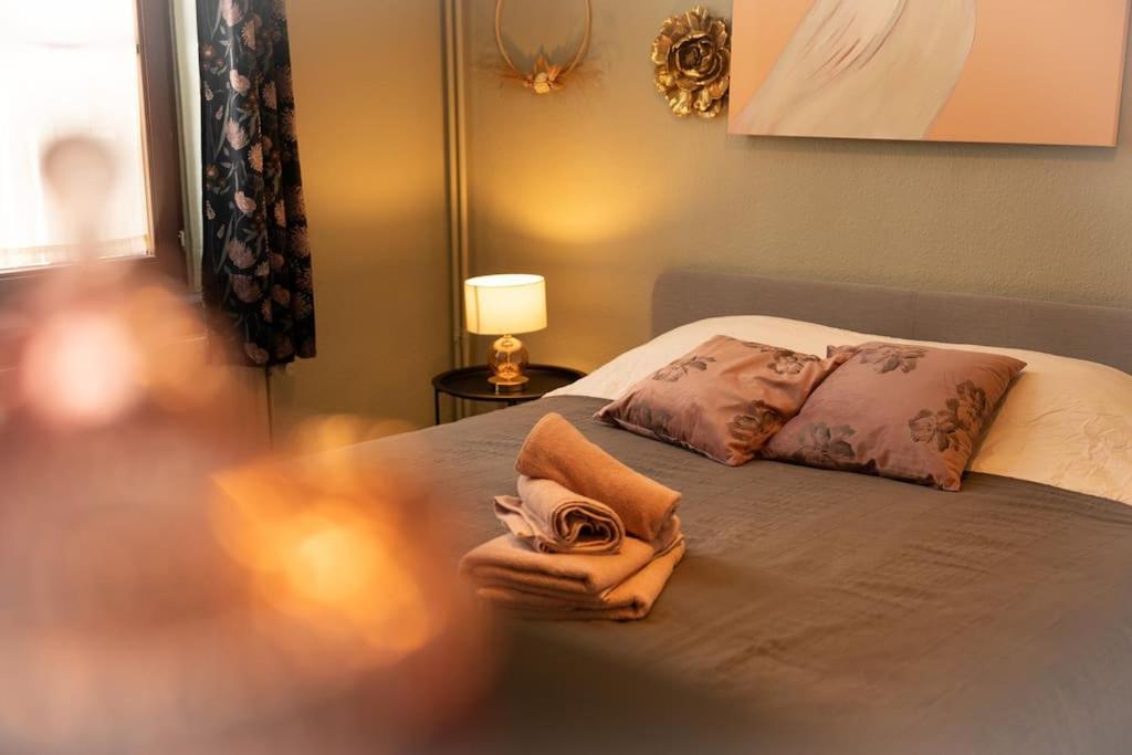 Camelia, Un Charme Montois Villa มงส์ ภายนอก รูปภาพ